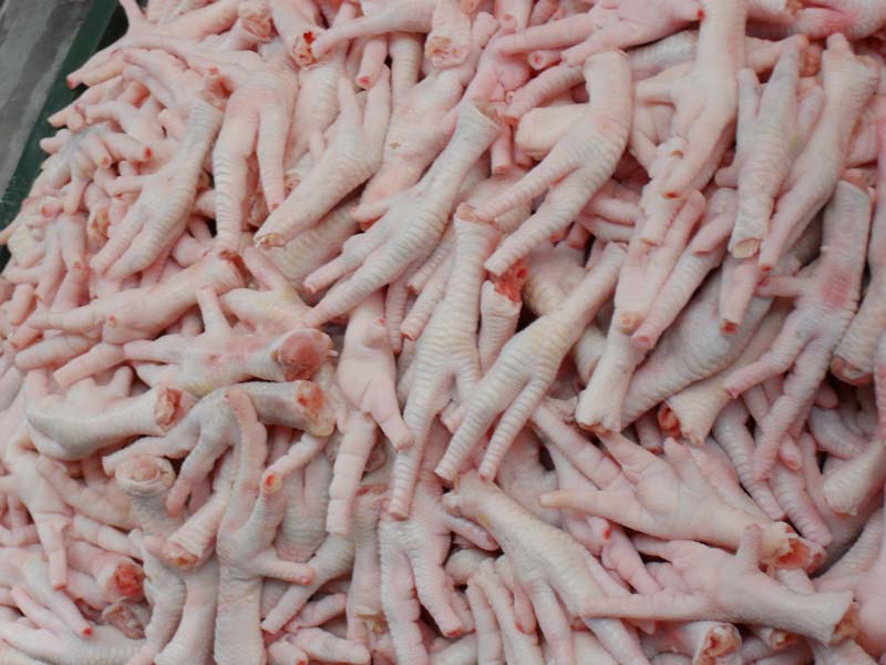 Frozen Chicken Supplier